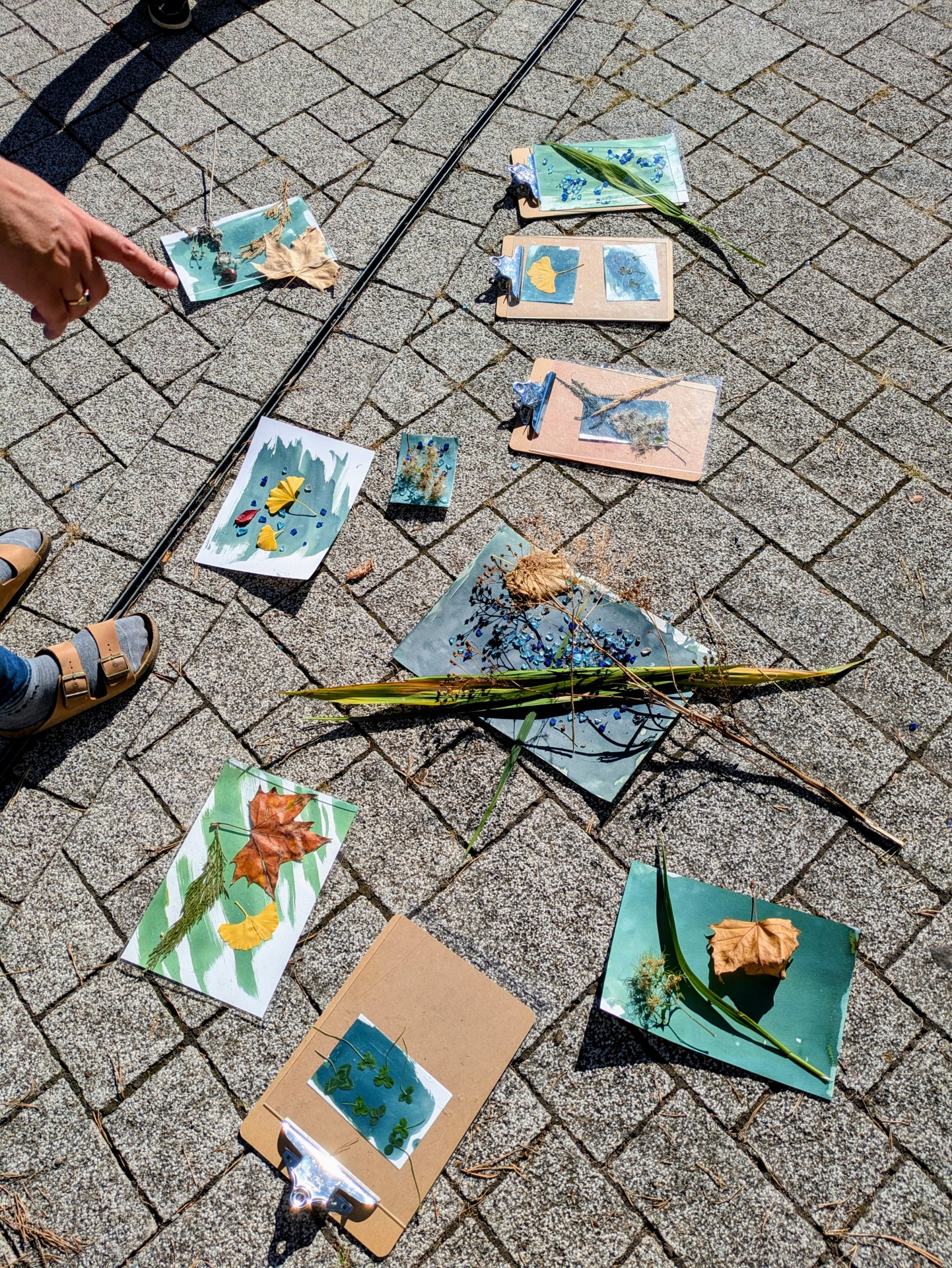 Die Cyanotypien werden belichtet Die Cyanotypien werden belichtet